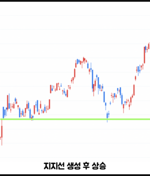 10. 지지선과 저항선 개념: 주가가 특정 구간에서 멈추는 이유와 의미